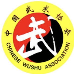 中国武术协会综合服务平台