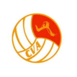 中国排球协会